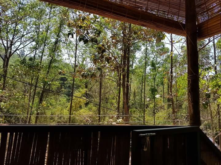 Ponmudi Valley Resorts Екстериор снимка